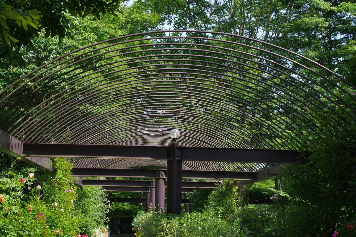 10 Outdoor Garden Canopy Ideas That Double as Sculptural Backdrops for Your Statues