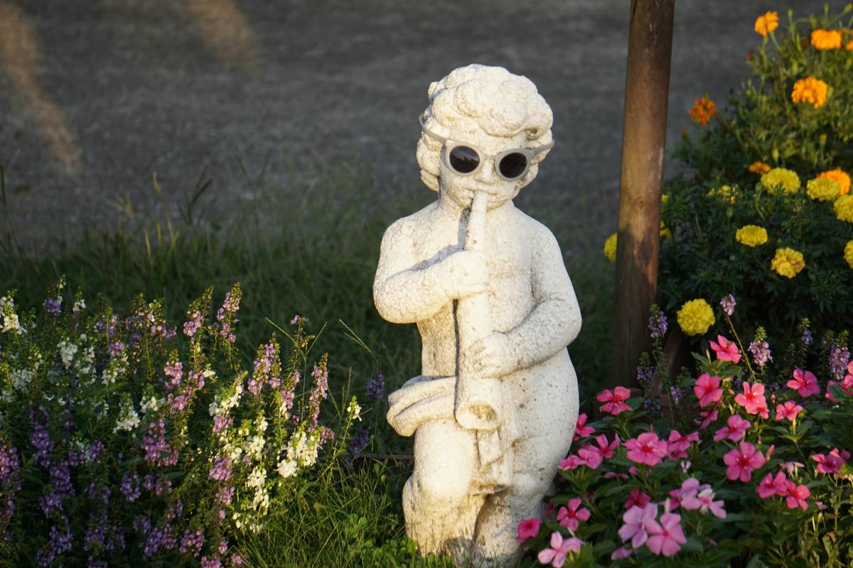 10 Outdoor Garden Ideas DIY That Transform Your Space (Without Breaking the Bank)