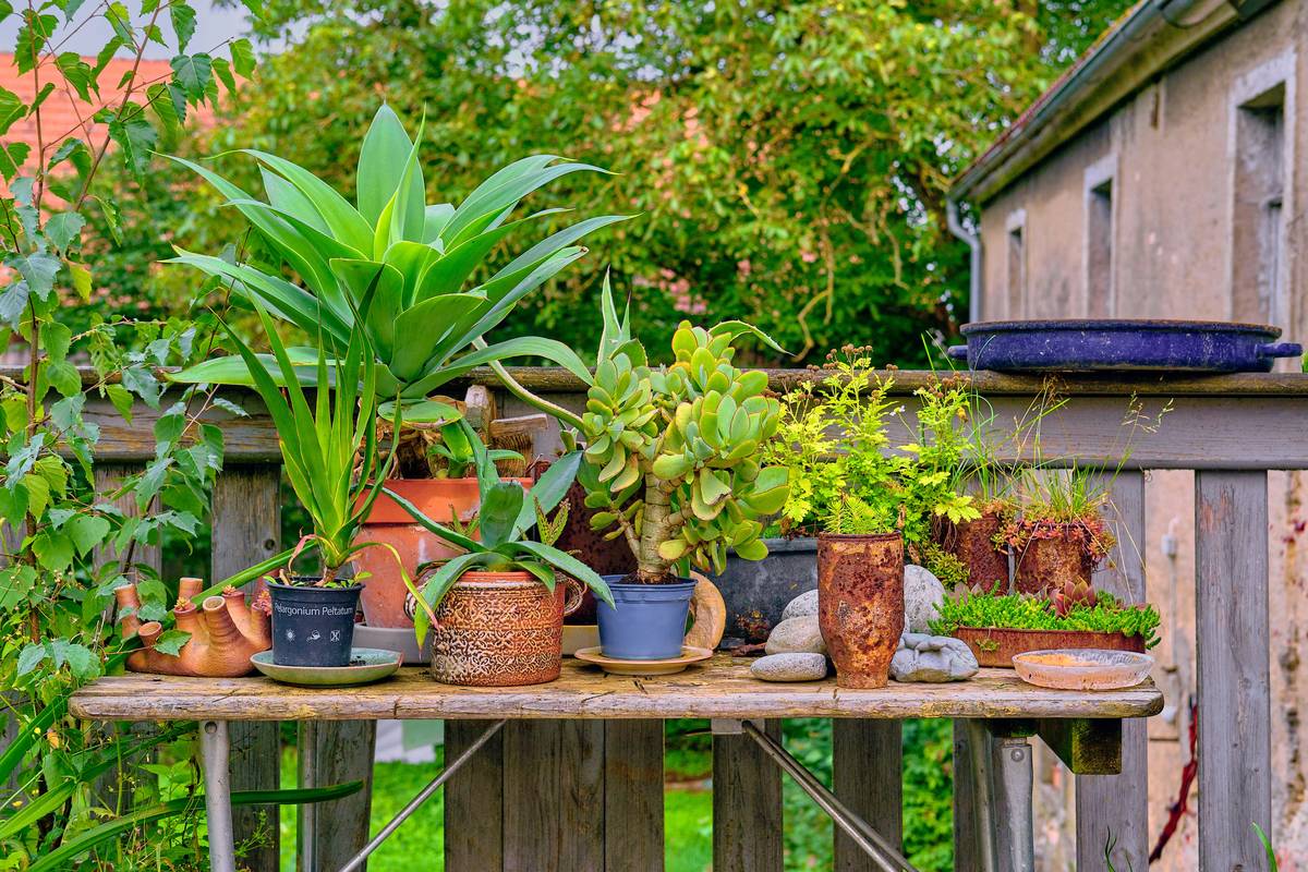 Bar chart comparing average cost of store-bought vs DIY garden statues: $120 vs $18 per piece