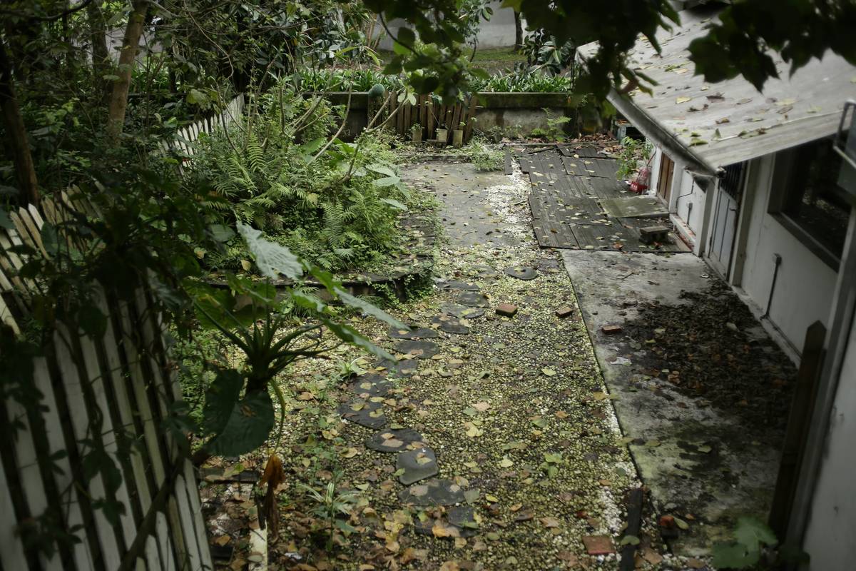 Before and after: garden with plain hostas vs. same space featuring a cast-stone rabbit statue nestled among ferns