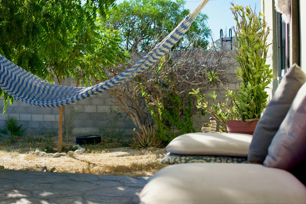 Before: Empty 6x8 ft concrete stoop. After: Lush with vertical greenery, compact bistro set, and a single cast-stone rabbit statue on a tree stump