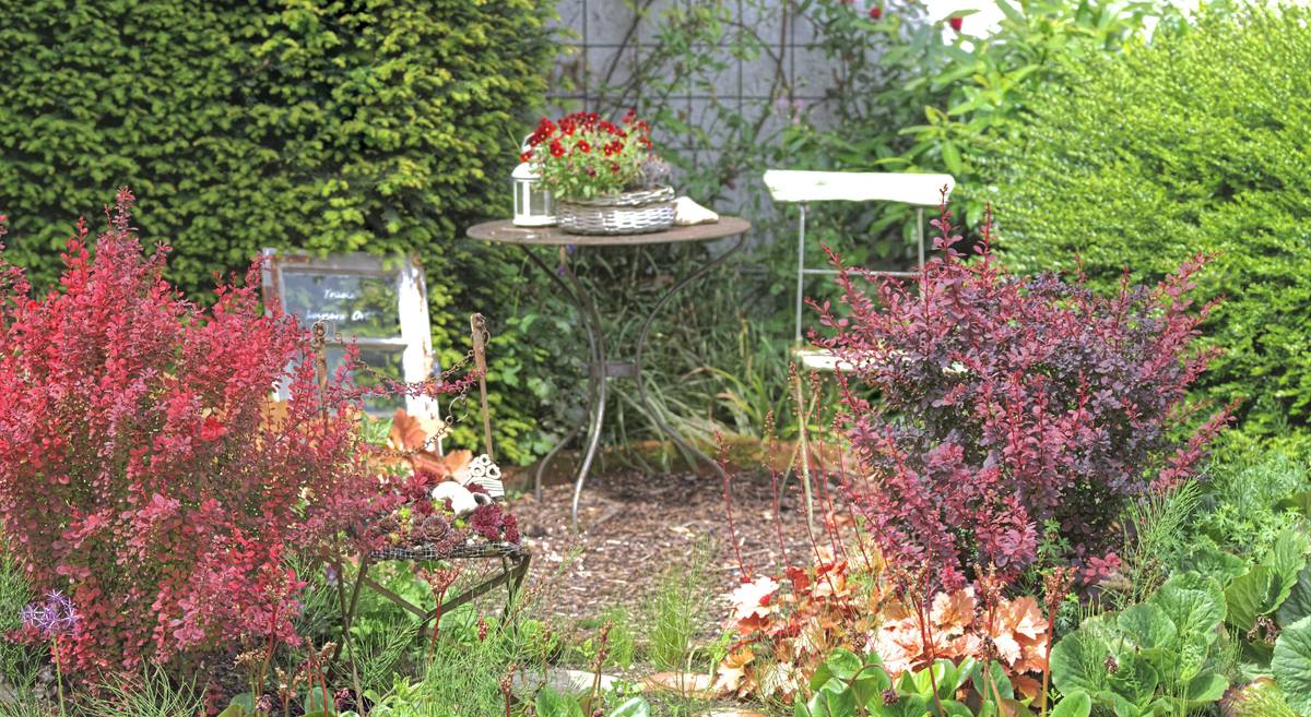 Diagram showing layered garden corner design: ground cover plants, bench, cast stone statue, and vertical trellis with climbing jasmine