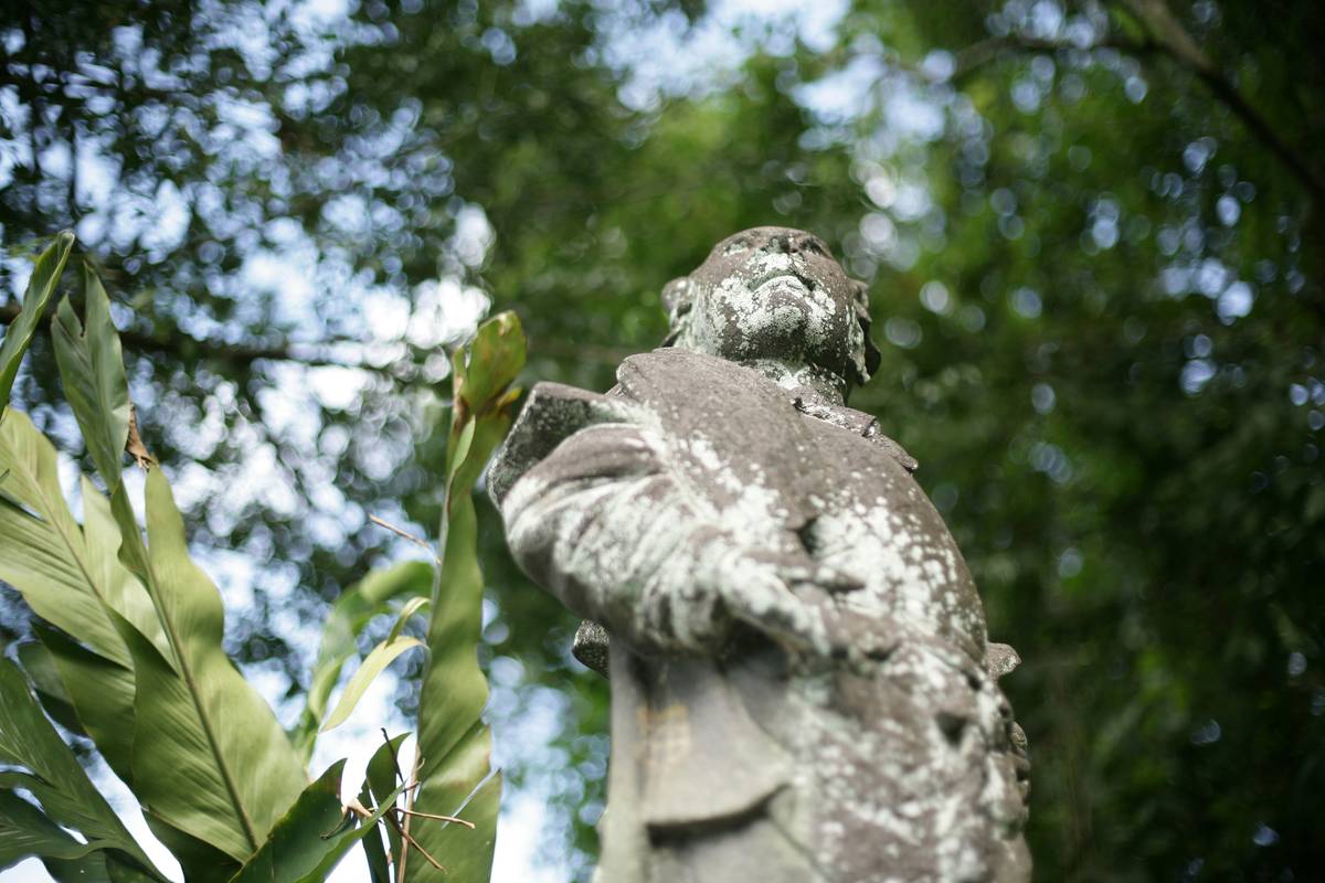 Outdoor Garden Ideas for Home: How to Transform Your Space with Thoughtful Garden Statues