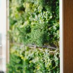Outdoor Garden Ideas for Small Spaces: Big Style, Zero Yard