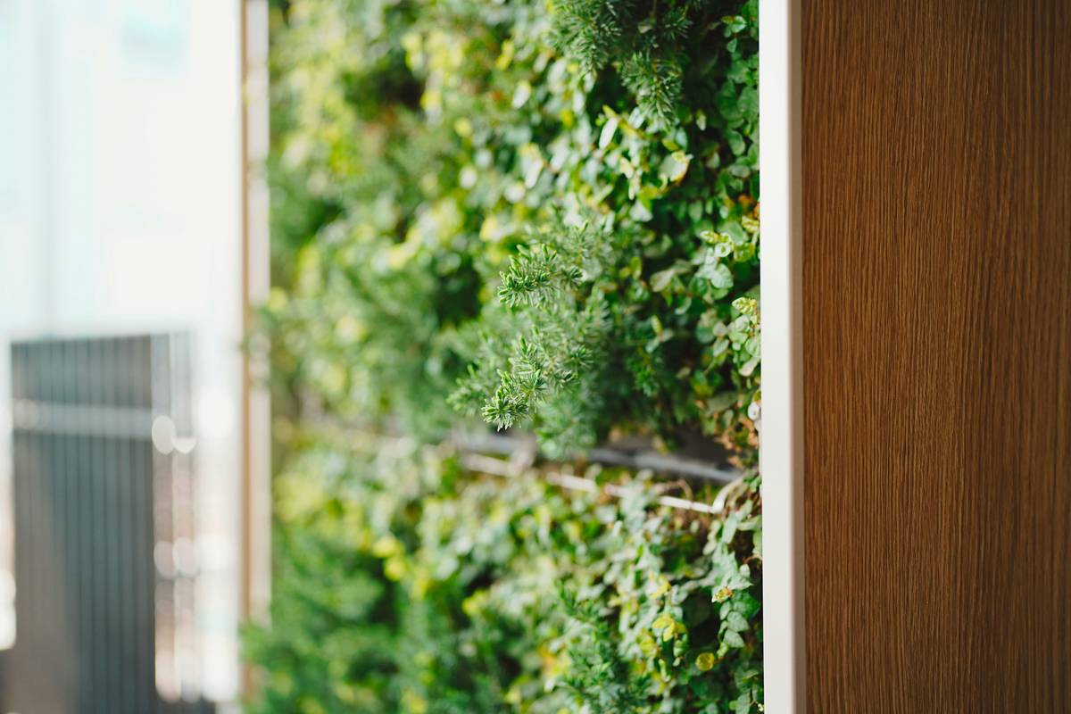 Outdoor Garden Ideas for Small Spaces: Big Style, Zero Yard