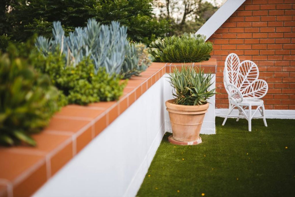 Outdoor Garden Ideas on a Budget: Transform Your Space with Thrifty Garden Statues & Smart Decor