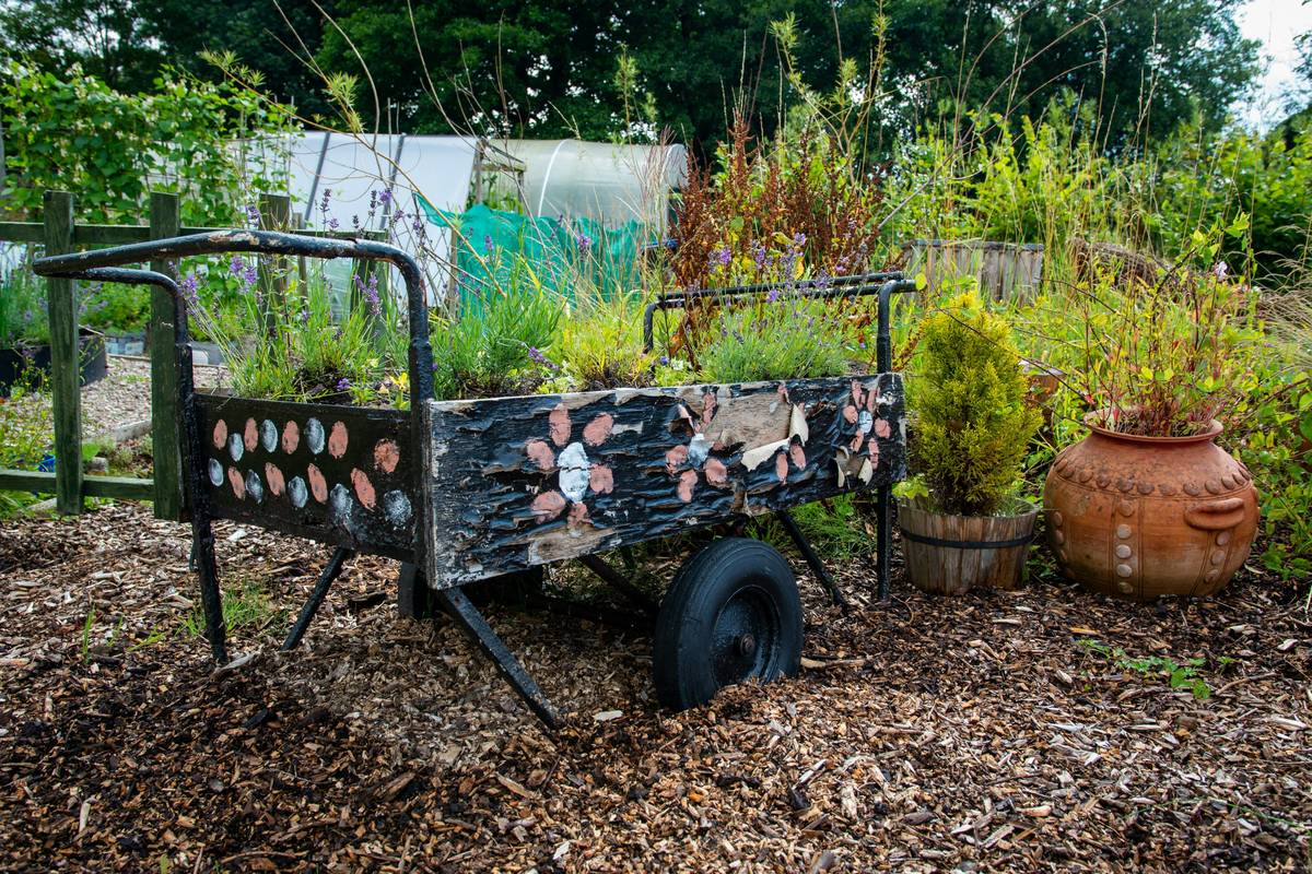 Side-by-side photo: overgrown yard with plastic flamingo vs. same yard featuring handmade concrete orbs and mosaic bench