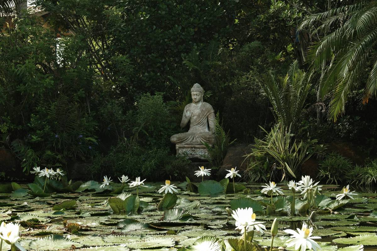 Statue Placement Styling Garden Health Benefit: How Outdoor Sculptures Boost Mood, Design & Well-Being