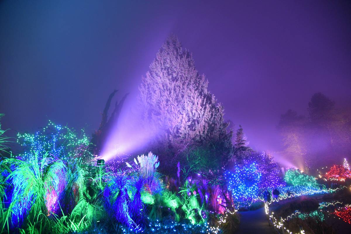 10 Outdoor Garden Christmas Ideas That’ll Make Your Yard the Talk of the Neighborhood