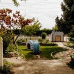 Outdoor Garden Ideas for Kids: Fun, Safe & Creative Ways to Bring Play Into Your Backyard