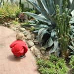 Outdoor Garden Ideas for Toddlers: Safe, Whimsical & Full of Wonder