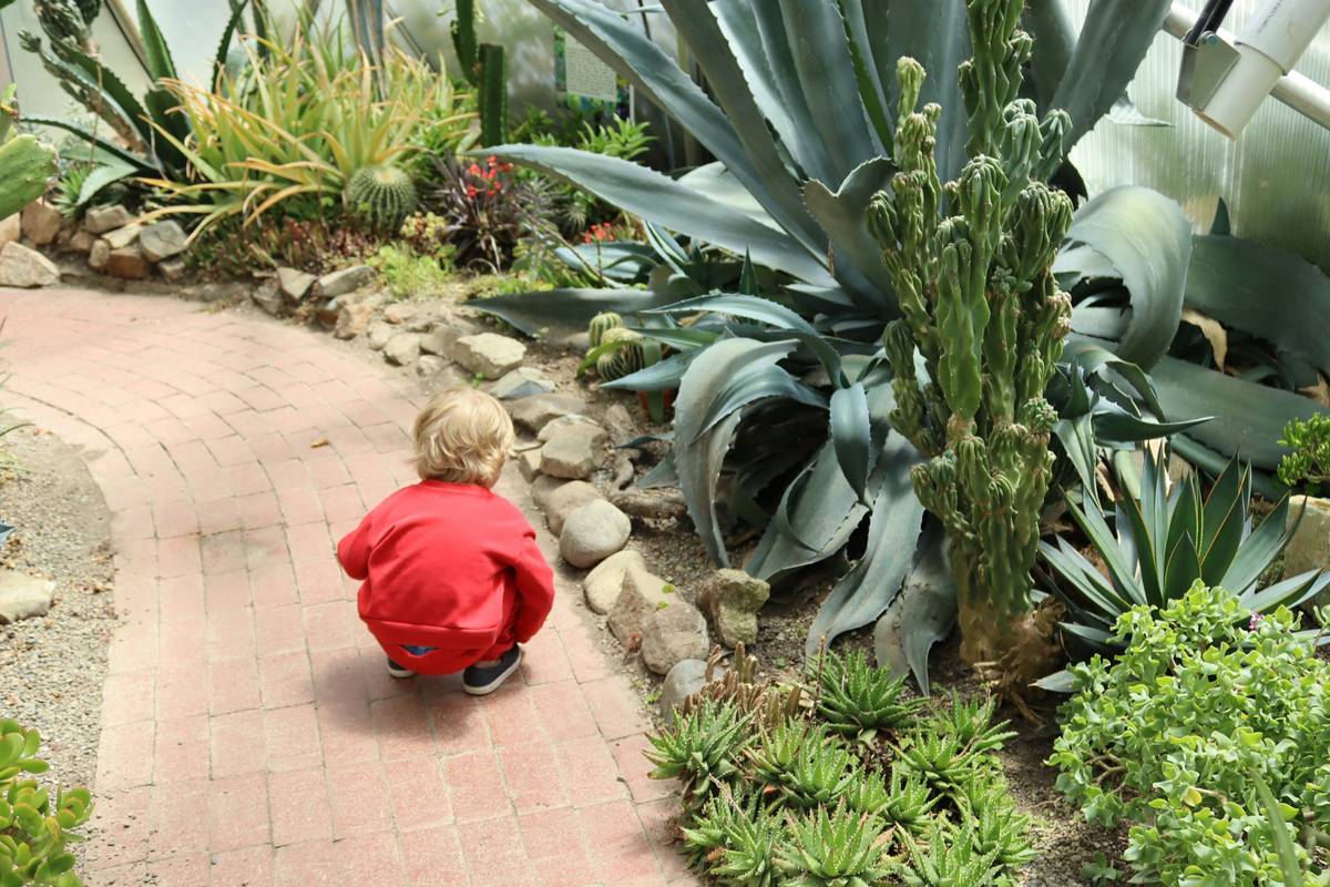 Outdoor Garden Ideas for Toddlers: Safe, Whimsical & Full of Wonder